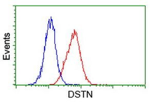 DSTN Antibody in Flow Cytometry (Flow)