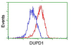 DUPD1 Antibody in Flow Cytometry (Flow)