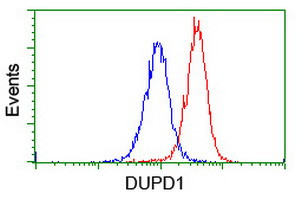 DUPD1 Antibody in Flow Cytometry (Flow)