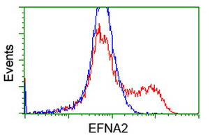 EFNA2 Antibody in Flow Cytometry (Flow)