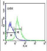 EHMT2 Antibody in Flow Cytometry (Flow)