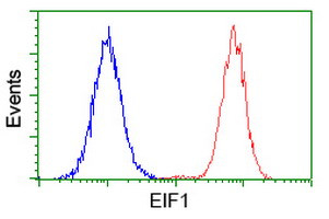 EIF1 Antibody in Flow Cytometry (Flow)