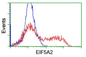 EIF5A2 Antibody in Flow Cytometry (Flow)