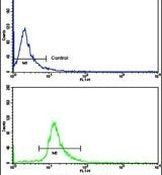 ELP2 Antibody in Flow Cytometry (Flow)