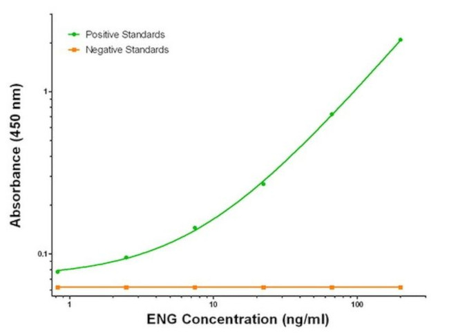 ENG Antibody in ELISA (ELISA)