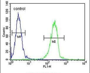 ENTHD1 Antibody in Flow Cytometry (Flow)