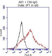 EPCAM Antibody in Flow Cytometry (Flow)