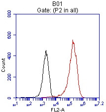 EPCAM Antibody in Flow Cytometry (Flow)