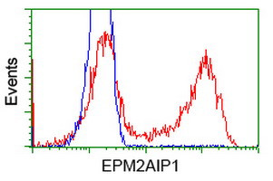 EPM2AIP1 Antibody in Flow Cytometry (Flow)