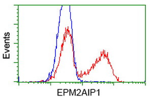 EPM2AIP1 Antibody in Flow Cytometry (Flow)