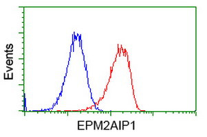 EPM2AIP1 Antibody in Flow Cytometry (Flow)