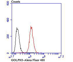 GOLPH3 Antibody in Flow Cytometry (Flow)