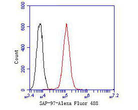 SAP97 Antibody in Flow Cytometry (Flow)