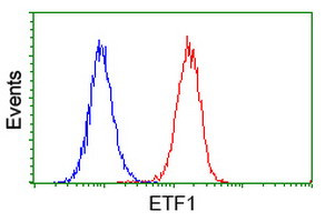 ETF1 Antibody in Flow Cytometry (Flow)