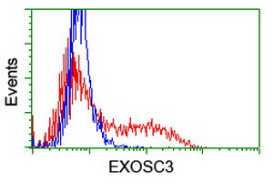 EXOSC3 Antibody in Flow Cytometry (Flow)