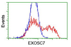 EXOSC7 Antibody in Flow Cytometry (Flow)