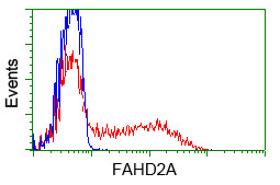 FAHD2A Antibody in Flow Cytometry (Flow)