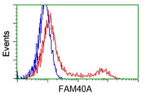 FAM40A Antibody in Flow Cytometry (Flow)