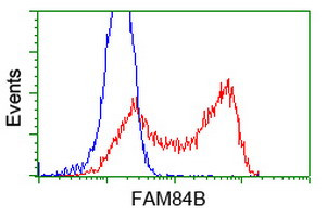 FAM84B Antibody in Flow Cytometry (Flow)