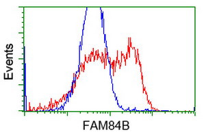 FAM84B Antibody in Flow Cytometry (Flow)