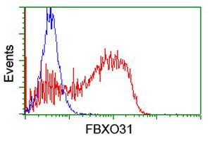 FBXO31 Antibody in Flow Cytometry (Flow)