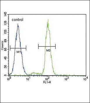 FER Antibody in Flow Cytometry (Flow)