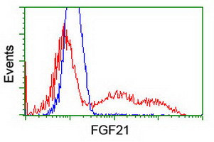 FGF21 Antibody in Flow Cytometry (Flow)