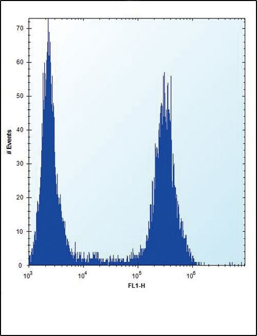 FGFR2 Antibody in Flow Cytometry (Flow)