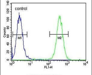 FKBP10 Antibody in Flow Cytometry (Flow)