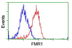 FMR1 Antibody in Flow Cytometry (Flow)