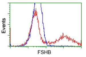 FSHB Antibody in Flow Cytometry (Flow)