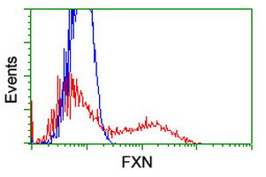 FXN Antibody in Flow Cytometry (Flow)