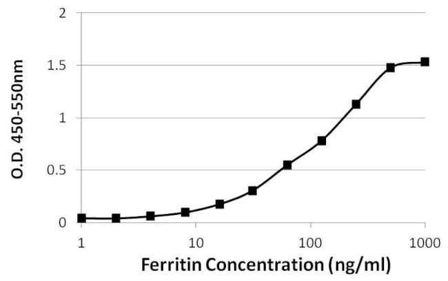 Ferritin Antibody in ELISA (ELISA)