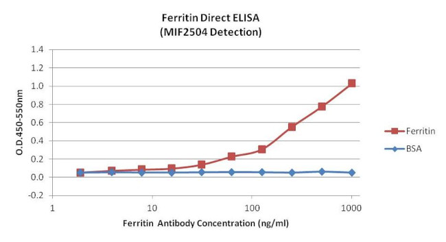 Ferritin Antibody in ELISA (ELISA)