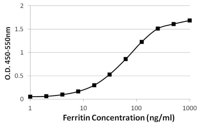 Ferritin Antibody in ELISA (ELISA)