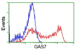 GAS7 Antibody in Flow Cytometry (Flow)