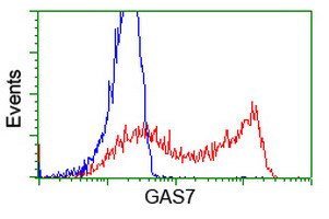 GAS7 Antibody in Flow Cytometry (Flow)