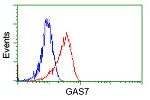 GAS7 Antibody in Flow Cytometry (Flow)