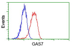 GAS7 Antibody in Flow Cytometry (Flow)