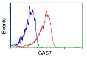 GAS7 Antibody in Flow Cytometry (Flow)