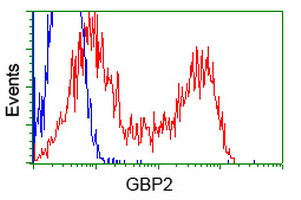 GBP2 Antibody in Flow Cytometry (Flow)