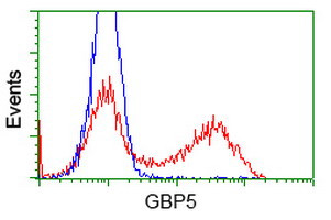 GBP5 Antibody in Flow Cytometry (Flow)