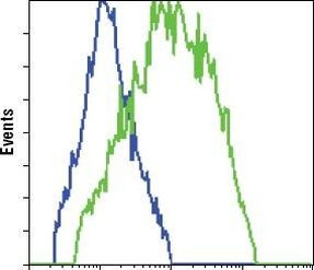 GFP Antibody in Flow Cytometry (Flow)