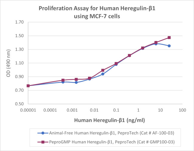 PeproGMP® Human Heregulin beta-1 Protein in Functional Assay (FN)