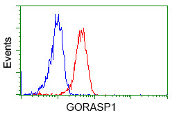 GORASP1 Antibody in Flow Cytometry (Flow)