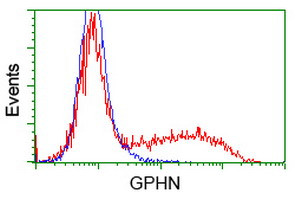 GPHN Antibody in Flow Cytometry (Flow)