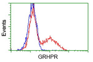 GRHPR Antibody in Flow Cytometry (Flow)
