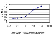 ACPP Antibody in ELISA (ELISA)