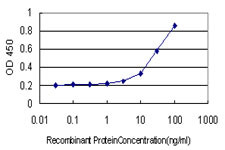 NR0B1 Antibody in ELISA (ELISA)