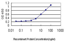 ALDOB Antibody in ELISA (ELISA)